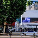 대호약국 이미지