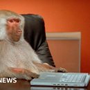 몽키매직 이미지