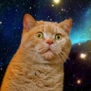 더(The)쿠키학원 이미지