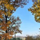 은계숲생태공원 화장실 이미지