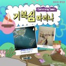 마리나 - 8342 | 마리나