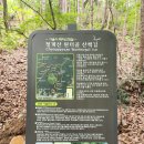 청계골 | 청계산 가족등산 추천 코스! 아이들과 함께 계단길 도전·정상에서 먹는 아이스크림· 주차까지 총정리