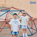 엠케이 스포츠경향