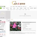 동미쌀화환