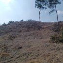 횡성농산농장 이미지