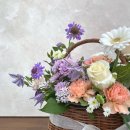데이지데이플라워스튜디오 네이버블로그