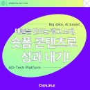 하나웹광고 이미지