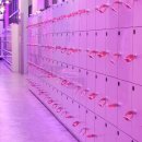 빵빵푸드플레이파크 이미지