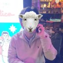 도쿄술집 평택역점 이미지