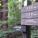 산59-1