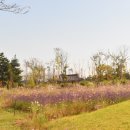 경기둘레길 화성47코스 이미지