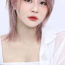 염편한세상 이미지