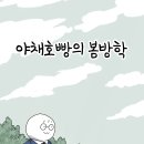 일로야채 이미지