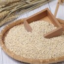 쌀과보리 | 🌾 구수한 집밥의 완성! 농사꾼 국산 찰보리쌀 10kg 후기 (feat. 다이어트 식단) 🍚