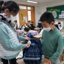 새빛초등학교 이미지