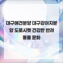 대구강아지분양 도로시펫 | 대구애견분양 대구강아지분양 도로시펫 건강한 반려동물 문화
