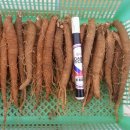 창수농장 이미지