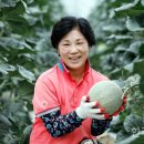 가브리엘농장 이미지