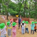 파주시유아숲체험원 이미지