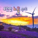 감악산도토리국수 | 🌸 2025 거창 감악산 아스타 국화 축제 | 트레킹 코스 & 맛집 추천