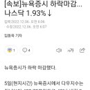 [속보]뉴욕증시 하락마감...나스닥 1.93%↓ 이미지