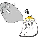 댕댕이,봄 이미지