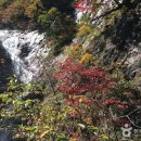 설악동 C1 주차장 이미지