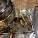 양꼬치소사짬뽕 이미지