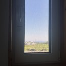 음식이탐나