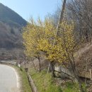 가북면사무소 이미지