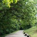 의총농장 | 강화도여행 > 조선시대 해안수비의 진지였던 강화도 광성보