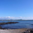 비양도 봄날 민박 이미지