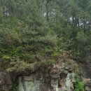 흥성마을 이미지