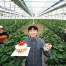 농부바게트 이미지