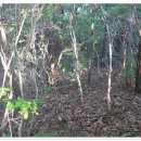 모곡초등학교 이미지