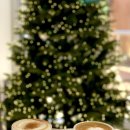 주정차단속-51 | 삼화지구 조용한 카페 찾는다면? 아늑하게 머물기 좋은 라떼맛집 닛시커피