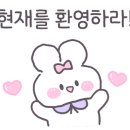 무국적식탁 이미지