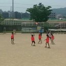 제 8회 화성오산 교육장배 학교스포츠클럽 얼티미트 대회 이미지