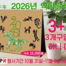2026년 책상용 간지 달력이 출시되었습니다. 이미지