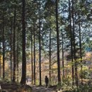 공설운동장삼거리 교차로 이미지