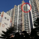 당리동-19 이미지