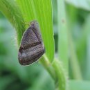 만나공원 이미지