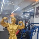 하이볼트 짐 | 신안동헬스장 광주 PT 피티 하이볼트짐 가격 위치 리뷰