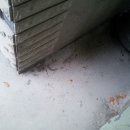 산호동322 이미지