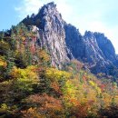 단풍 - 부여군 | 단풍