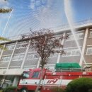 부영초등학교 이미지