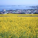 인더플럼 이미지