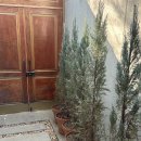 하유일기 | 경주 <하유일기> 포켓볼을 칠 수 있는 독채 펜션 추천 🎱