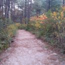 한울목장 이미지