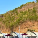 J | 충북 글램핑장 추천 제천 J글램핑 겨울 바베큐 무한리필 후기